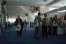The Exhibition Area